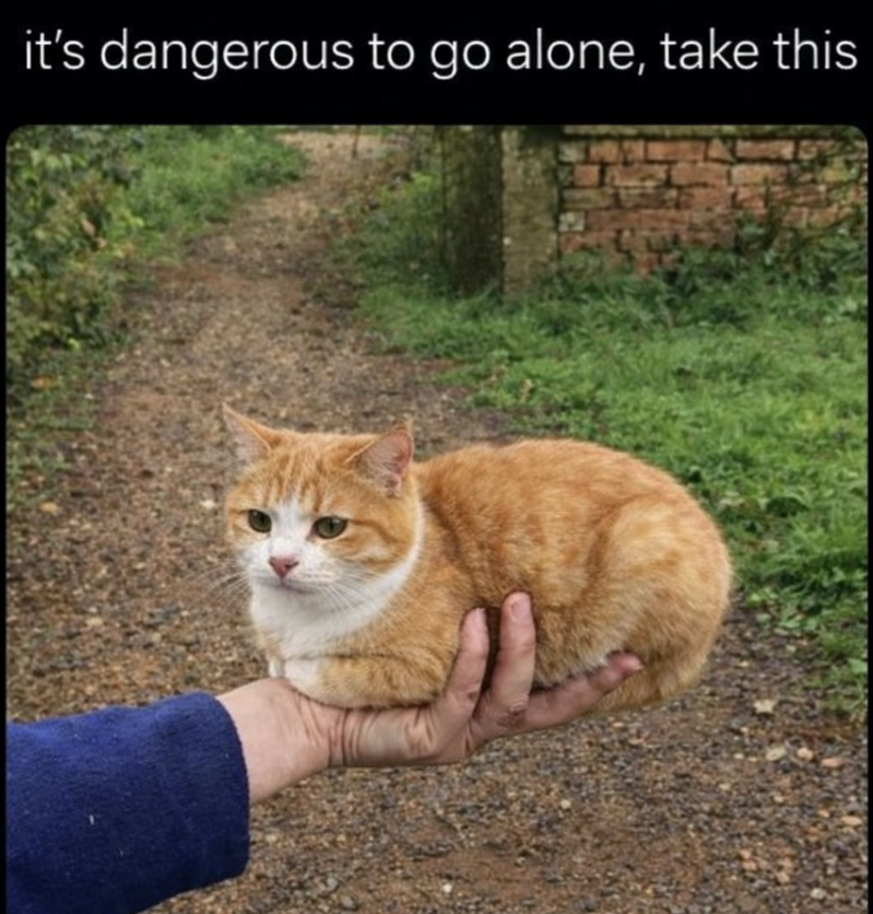 it's dangerous to go alone, take this