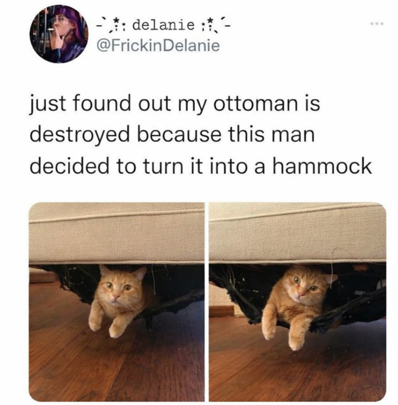 - delanie: @Frickin Delanie just found out my ottoman is destroyed because this man decided to turn it into a hammock