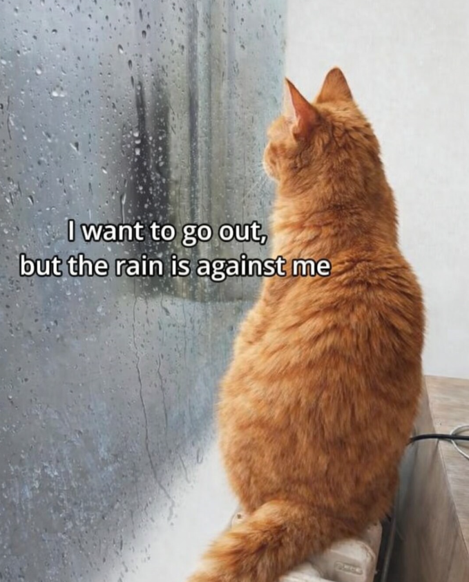 I want to go out, but the rain is against me