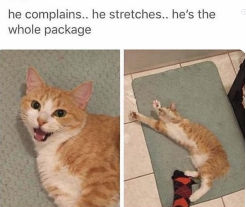 he complains.. he stretches.. he's the whole package