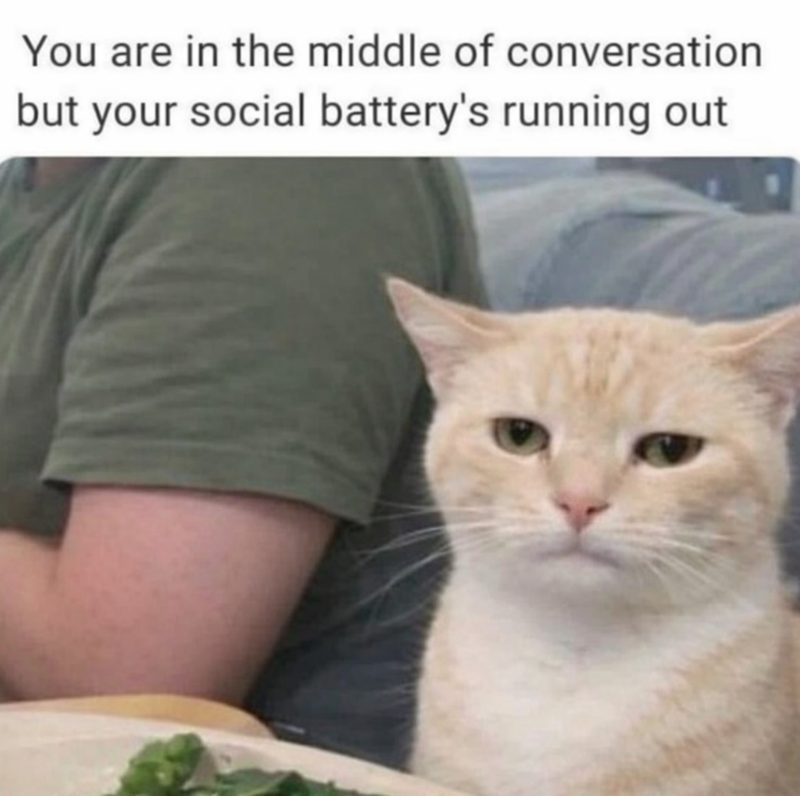 You are in the middle of conversation but your social battery's running out