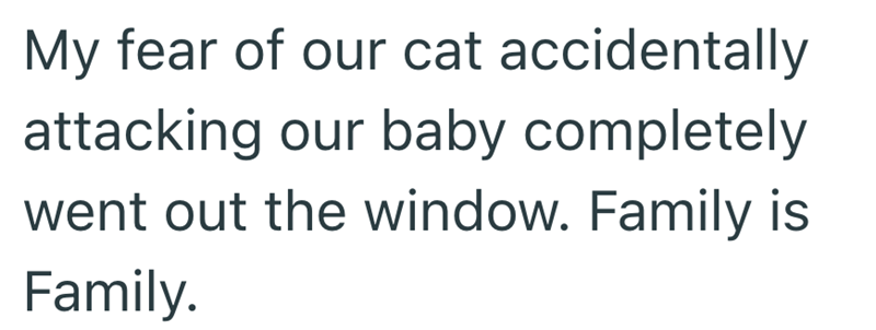 My fear of our cat accidentally attacking our baby completely went out the window. Family is Family.