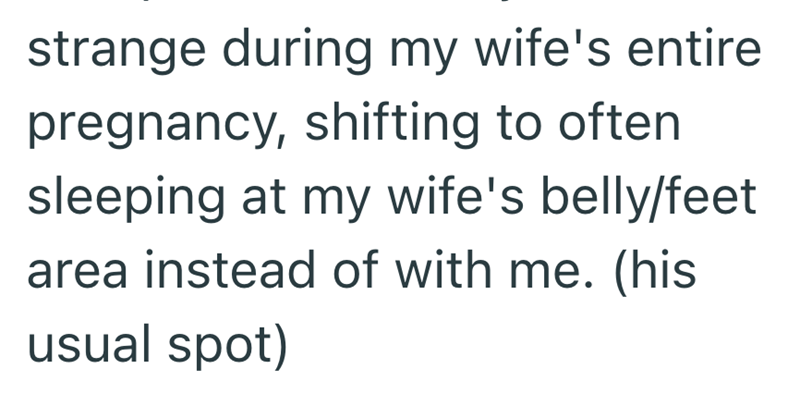 strange during my wife's entire pregnancy, shifting to often sleeping at my wife's belly/feet area instead of with me. (his usual spot)