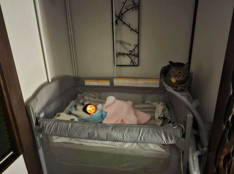 Cheezburger Image 10611170560