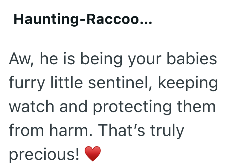 Haunting-Raccoo... Aw, he is being your babies furry little sentinel, keeping watch and protecting them from harm. That's truly precious!