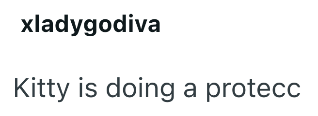 xladygodiva Kitty is doing a protecc