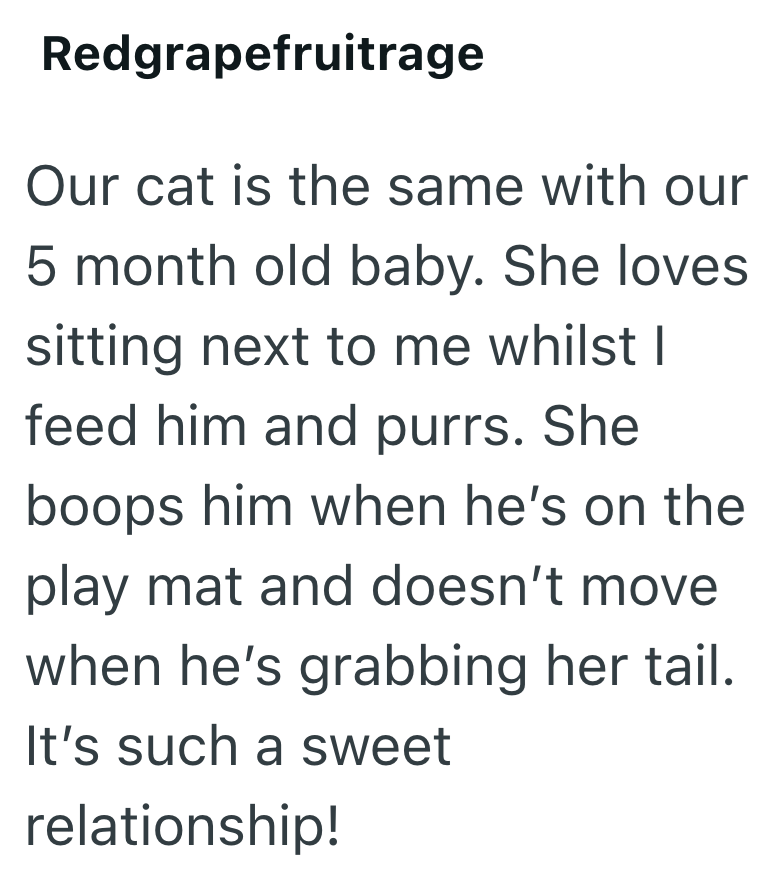 Redgrapefruitrage Our cat is the same with our 5 month old baby. She loves sitting next to me whilst I feed him and purrs. She boops him when he's on the play mat and doesn't move when he's grabbing her tail. It's such a sweet relationship!
