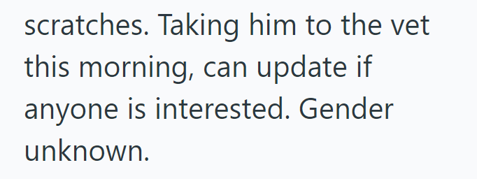 scratches. Taking him to the vet this morning, can update if anyone is interested. Gender unknown.