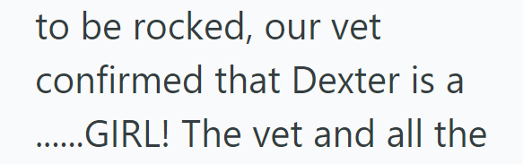 to be rocked, our vet confirmed that Dexter is a ......GIRL! The vet and all the