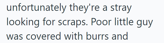 unfortunately they're a stray looking for scraps. Poor little guy was covered with burrs and