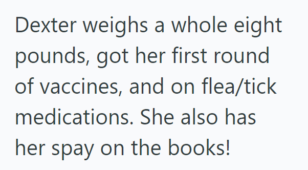 Dexter weighs a whole eight pounds, got her first round of vaccines, and on flea/tick medications. She also has her spay on the books!