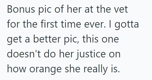 Bonus pic of her at the vet for the first time ever. I gotta get a better pic, this one doesn't do her justice on how orange she really is.