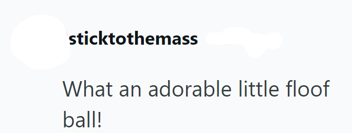 sticktothemass What an adorable little floof ball!