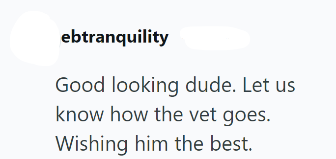 ebtranquility Good looking dude. Let us know how the vet goes. Wishing him the best.