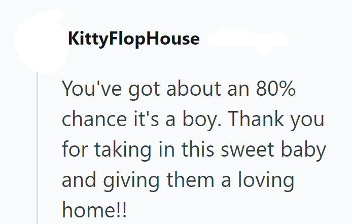 KittyFlopHouse You've got about an 80% chance it's a boy. Thank you for taking in this sweet baby and giving them a loving home!!
