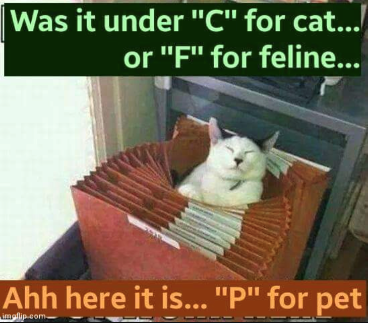 Was it under "C" for cat... or "F" for feline... Ahh here it is... "P" for pet imgflip.com
