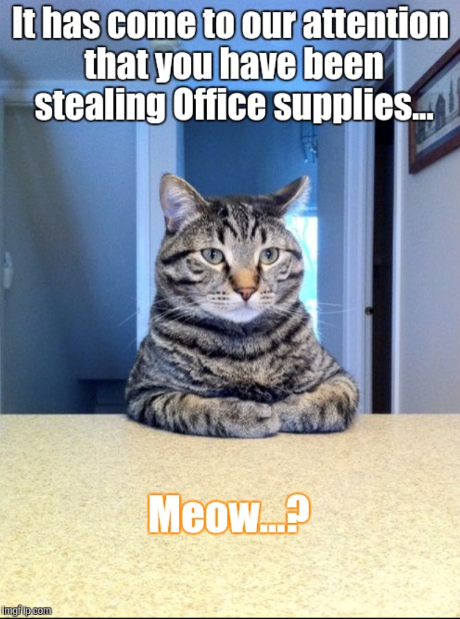 It has come to our attention that you have been stealing Office supplies... imgfip.com Meow...?