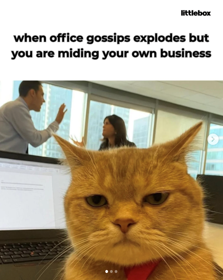 littlebox when office gossips explodes but you are miding your own business >
