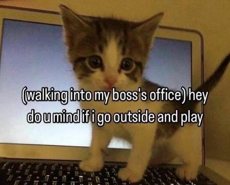 (walking into my boss's office) hey dou mind if i go outside and play 2