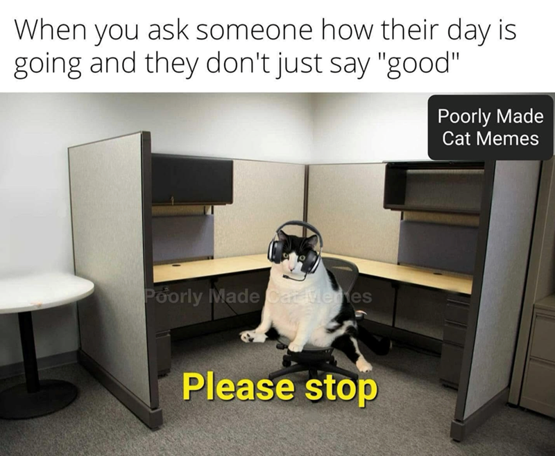 When you ask someone how their day is going and they don't just say "good" Poorly Made Cat Memes Poorly Made Cat Memes Please stop