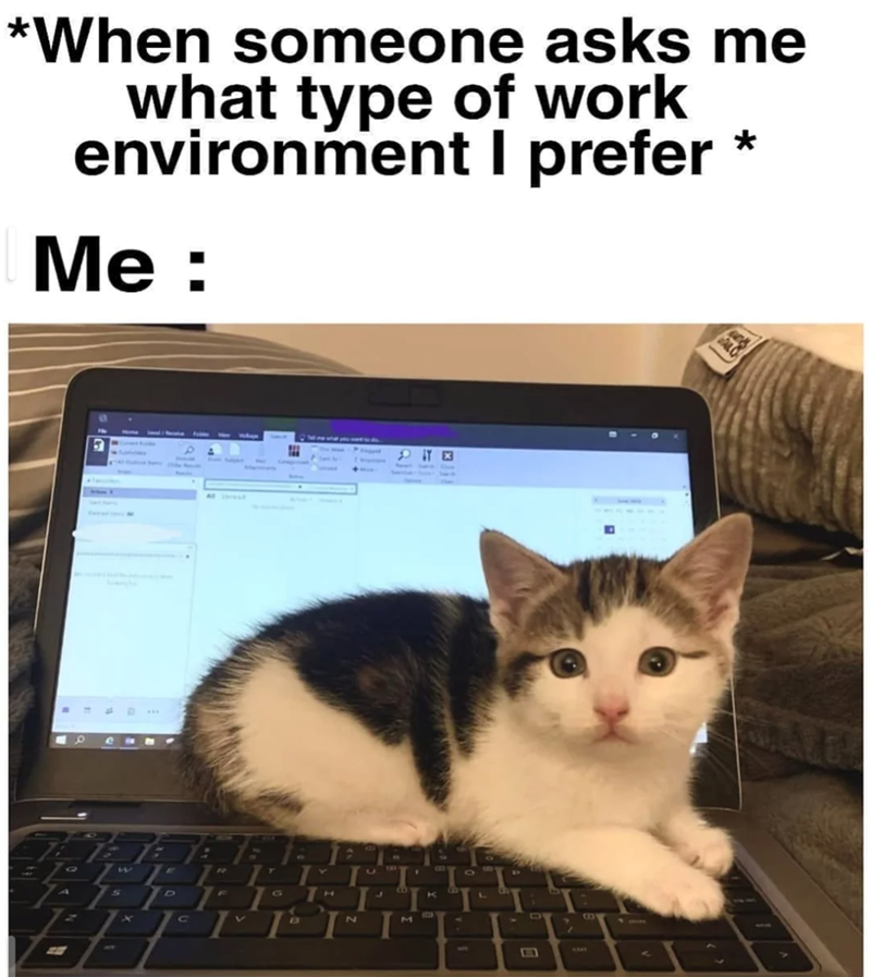 *When someone asks me what type of work environment I prefer * Me: To 4 S D T G H C V B 2 J IT ☑ B B K L M L O B V