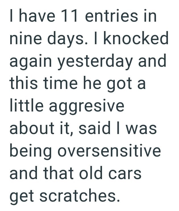 I have 11 entries in nine days. I knocked again yesterday and this time he got a little aggresive about it, said I was being oversensitive and that old cars get scratches.