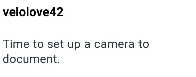 velolove42 Time to set up a camera to document.