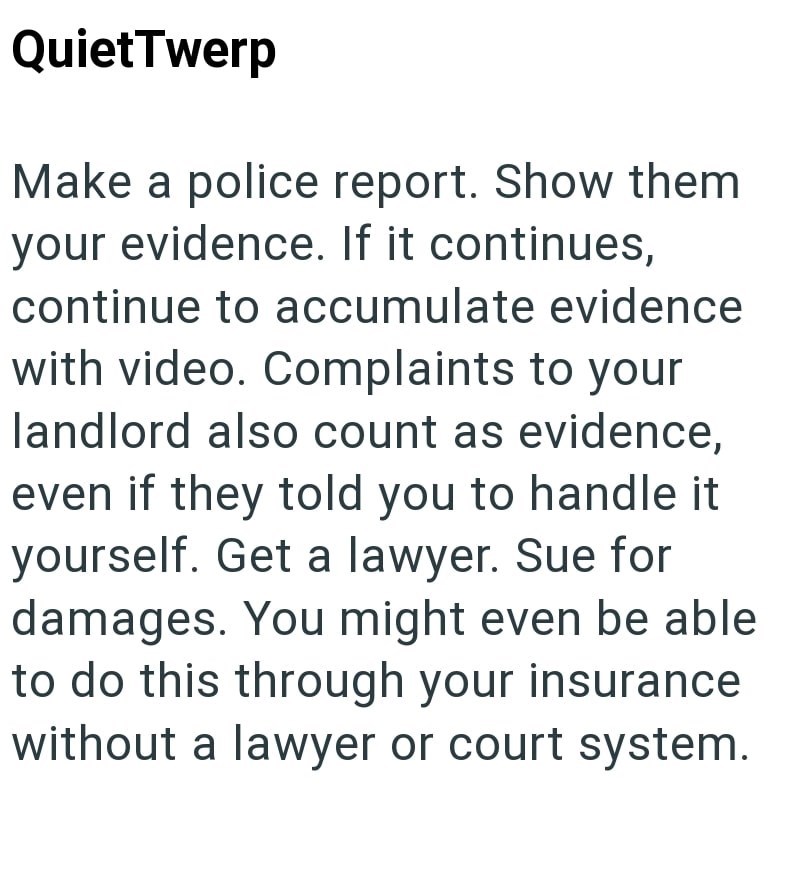 QuietTwerp Make a police report. Show them your evidence. If it continues, continue to accumulate evidence with video. Complaints to your landlord also count as evidence, even if they told you to handle it yourself. Get a lawyer. Sue for damages. You might even be able to do this through your insurance without a lawyer or court system.