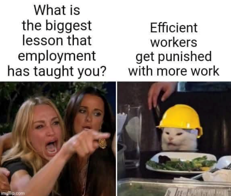 What is the biggest lesson that employment has taught you? Efficient workers get punished with more work imgflip.com