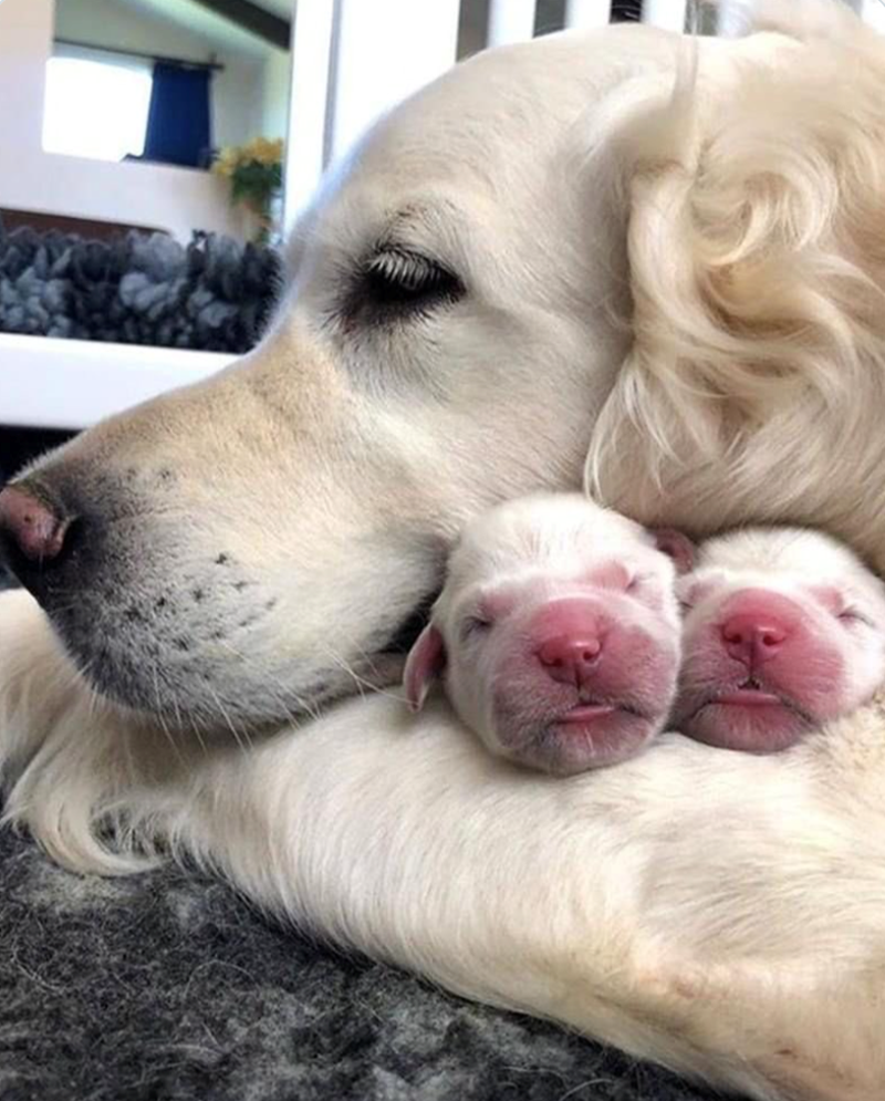 Cheezburger Image 10611193600