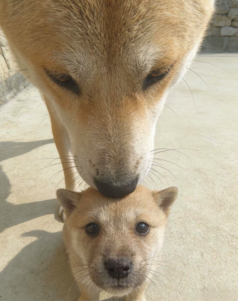 Cheezburger Image 10611194112