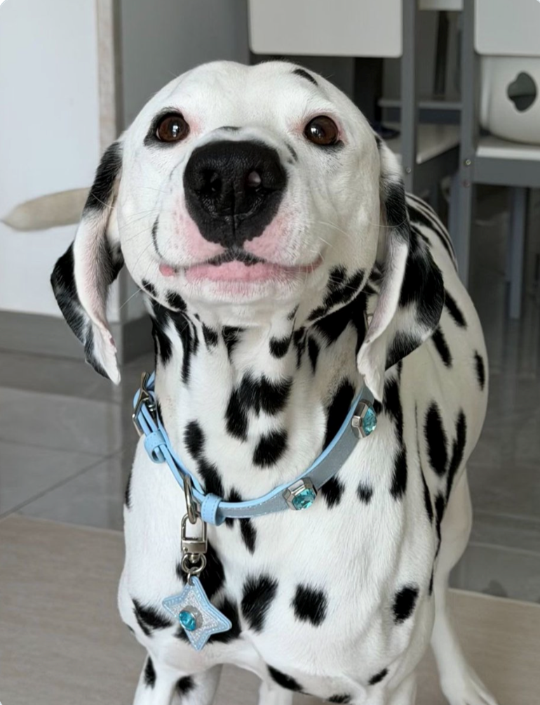 Cheezburger Image 10611195136