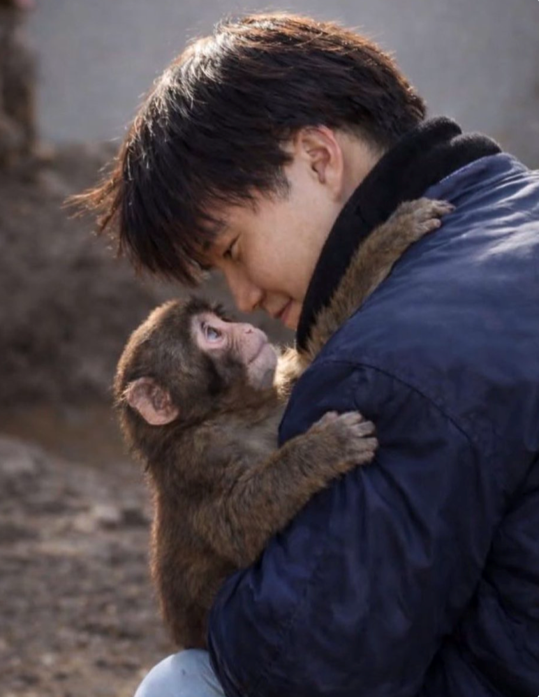 Cheezburger Image 10611196160