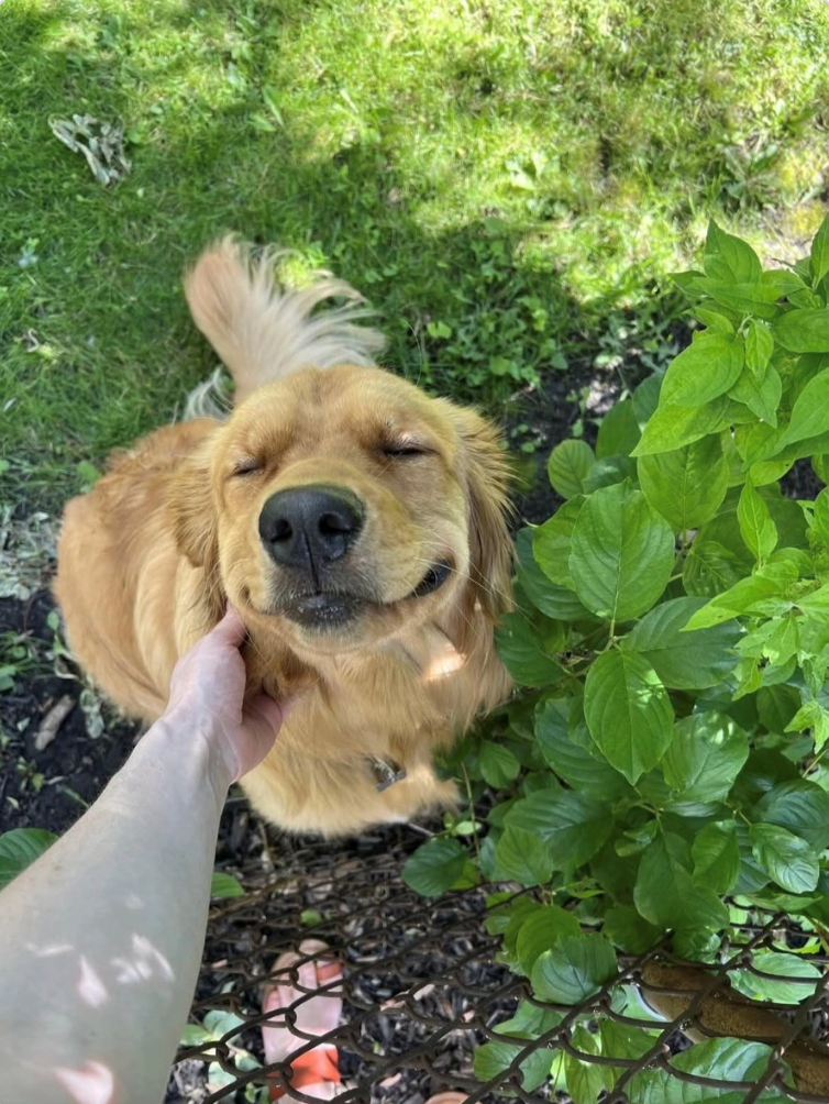 Cheezburger Image 10611196416