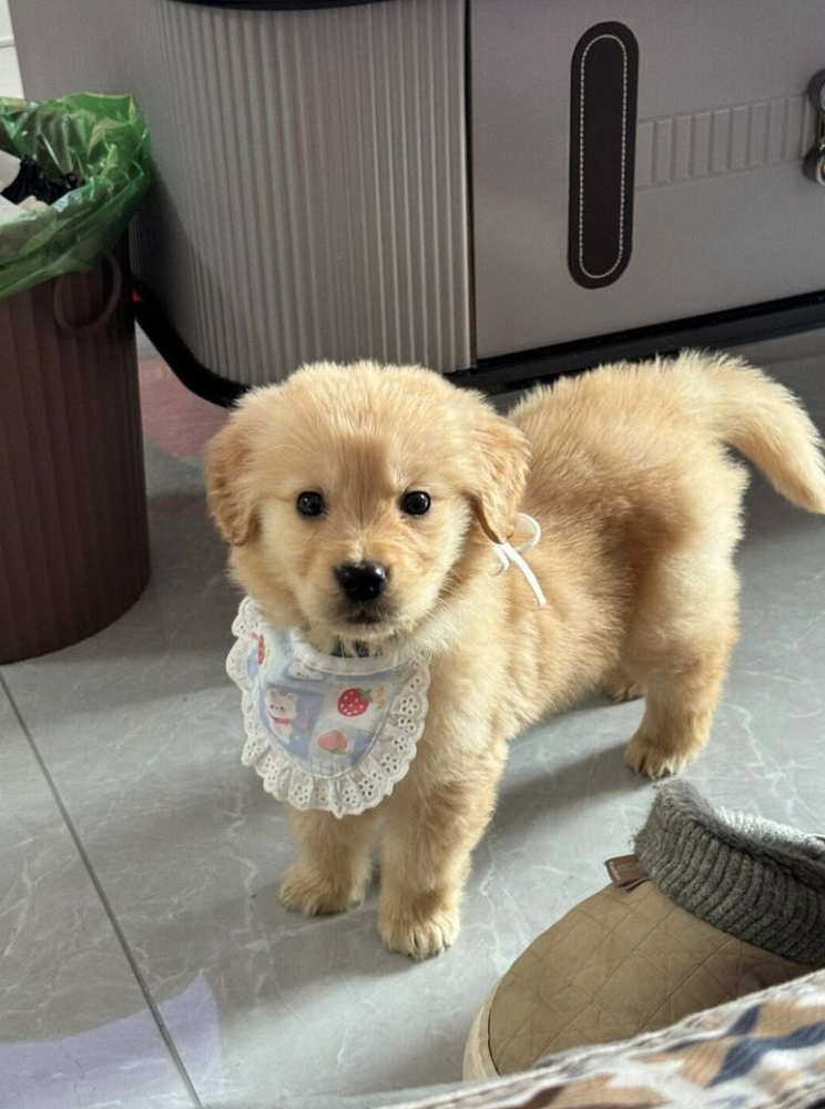 Cheezburger Image 10611198208