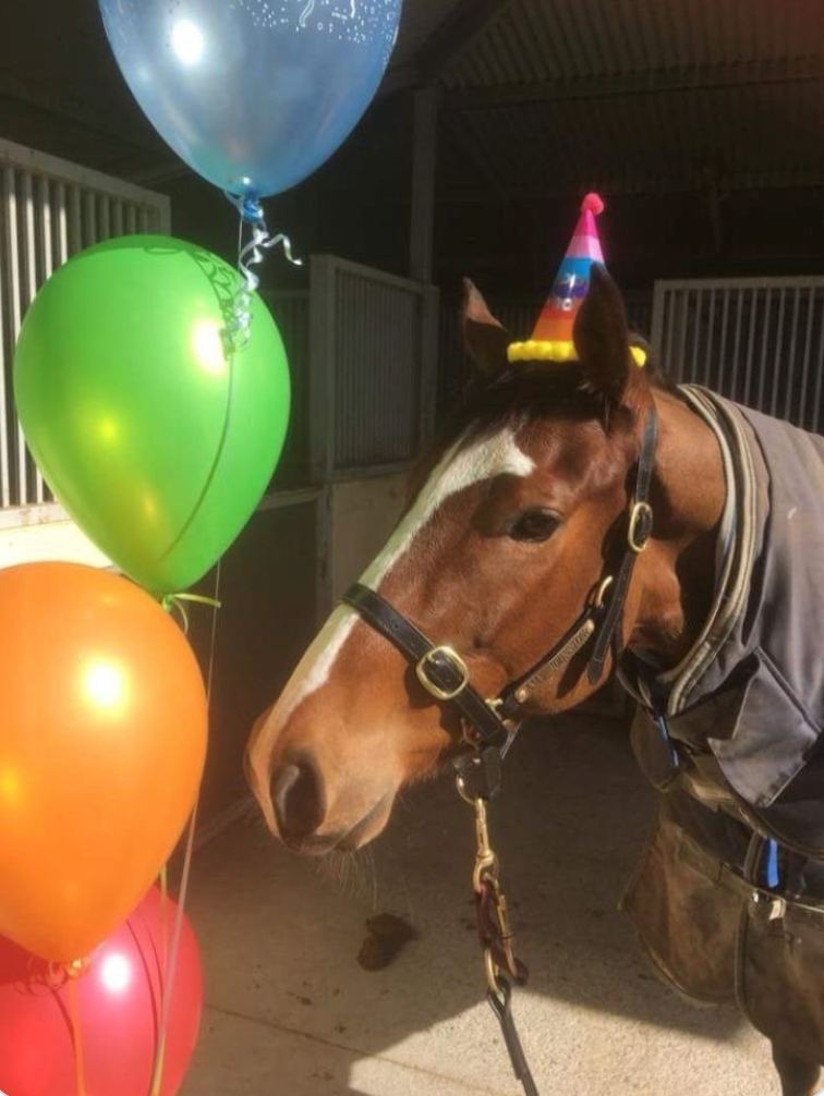 Cheezburger Image 10611198720