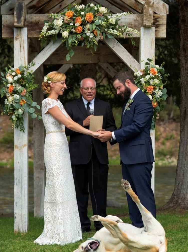 Cheezburger Image 10611200000