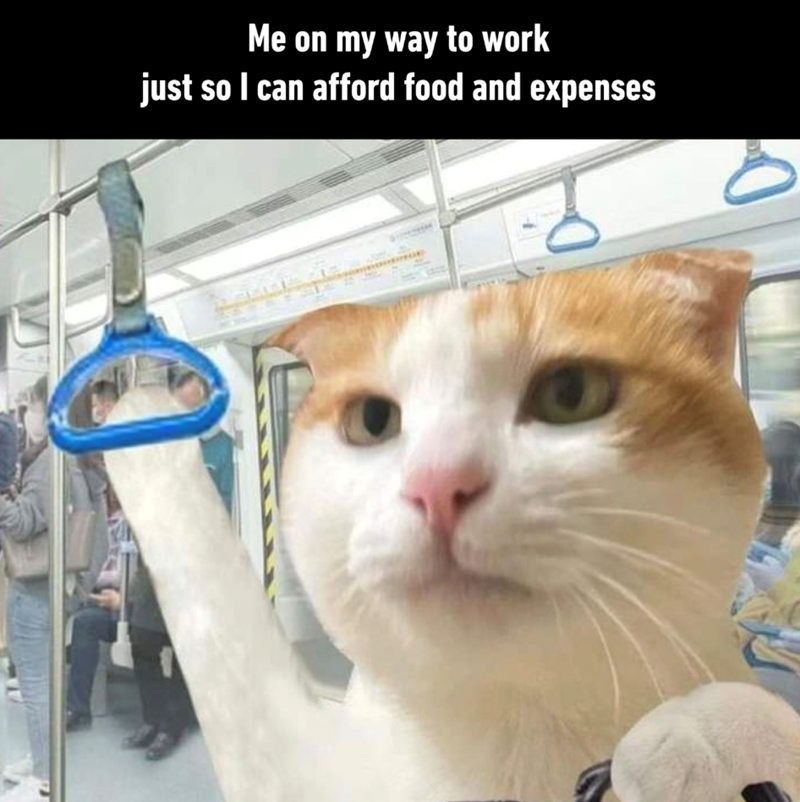 Me on my way to work just so I can afford food and expenses