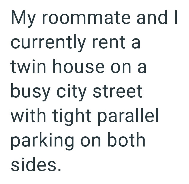 My roommate and I currently rent a twin house on a busy city street with tight parallel parking on both sides.