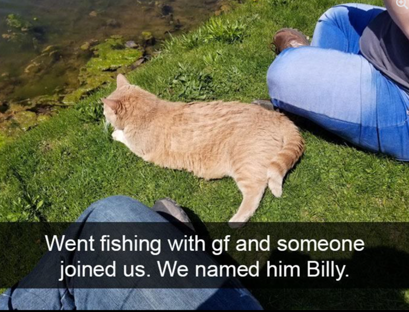 Went fishing with gf and someone joined us. We named him Billy.