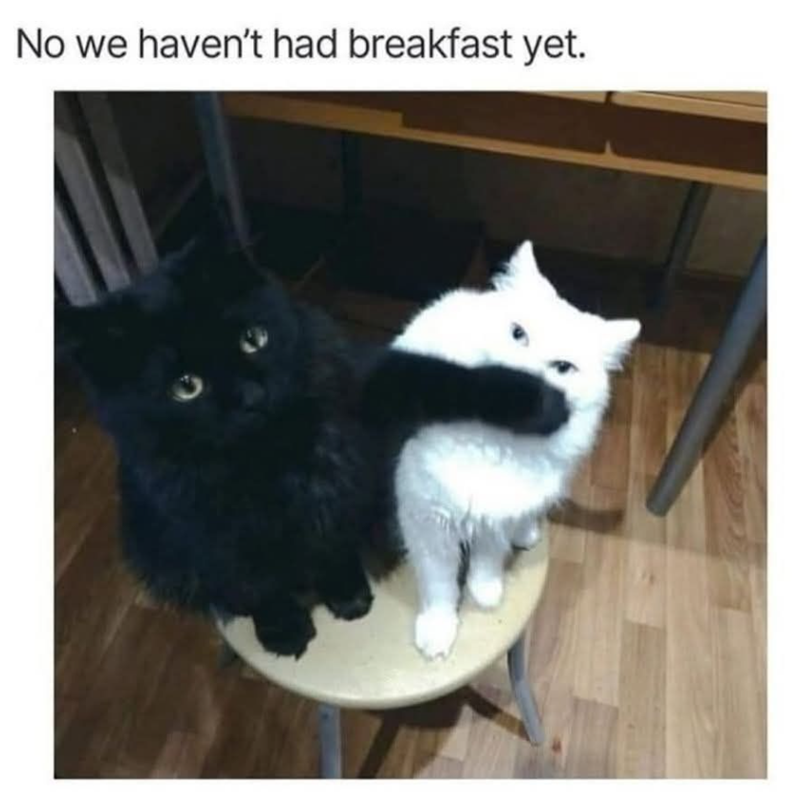 No we haven't had breakfast yet.
