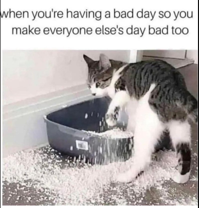 when you're having a bad day so you make everyone else's day bad too
