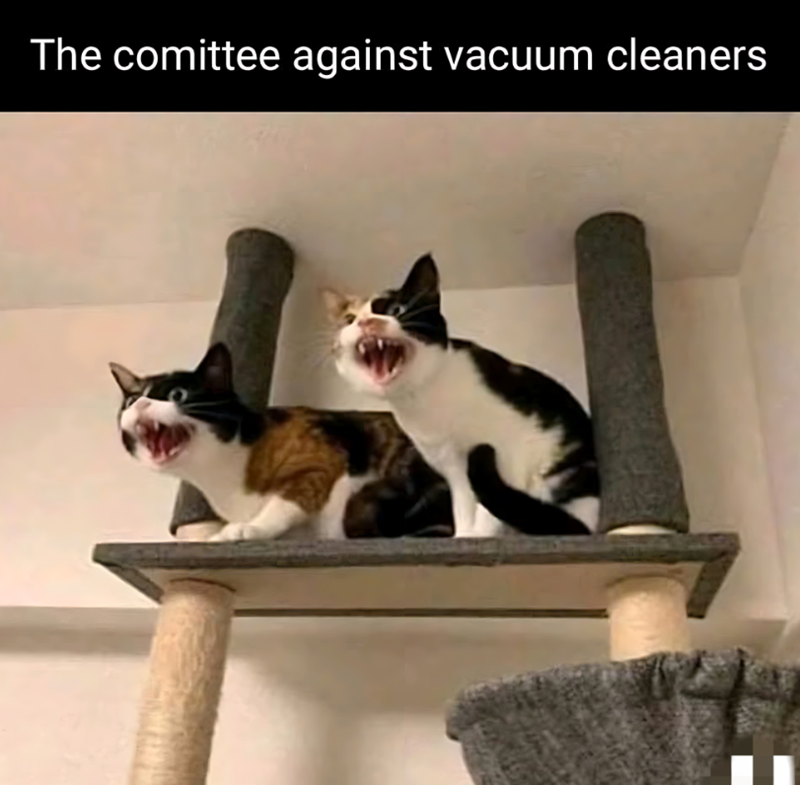 The comittee against vacuum cleaners