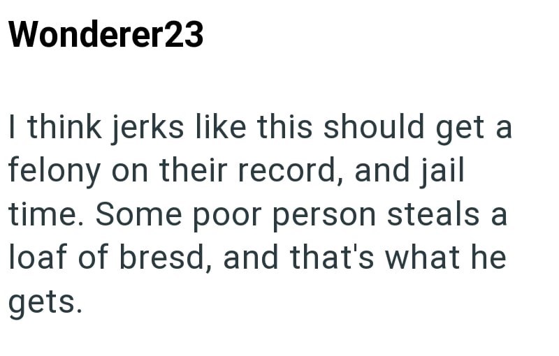 Wonderer23 I think jerks like this should get a felony on their record, and jail time. Some poor person steals a loaf of bread, and that's what he gets.
