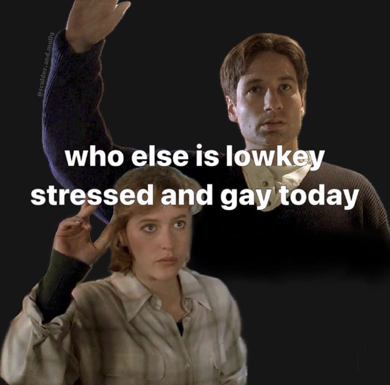 who else is lowkey stressed and gay today