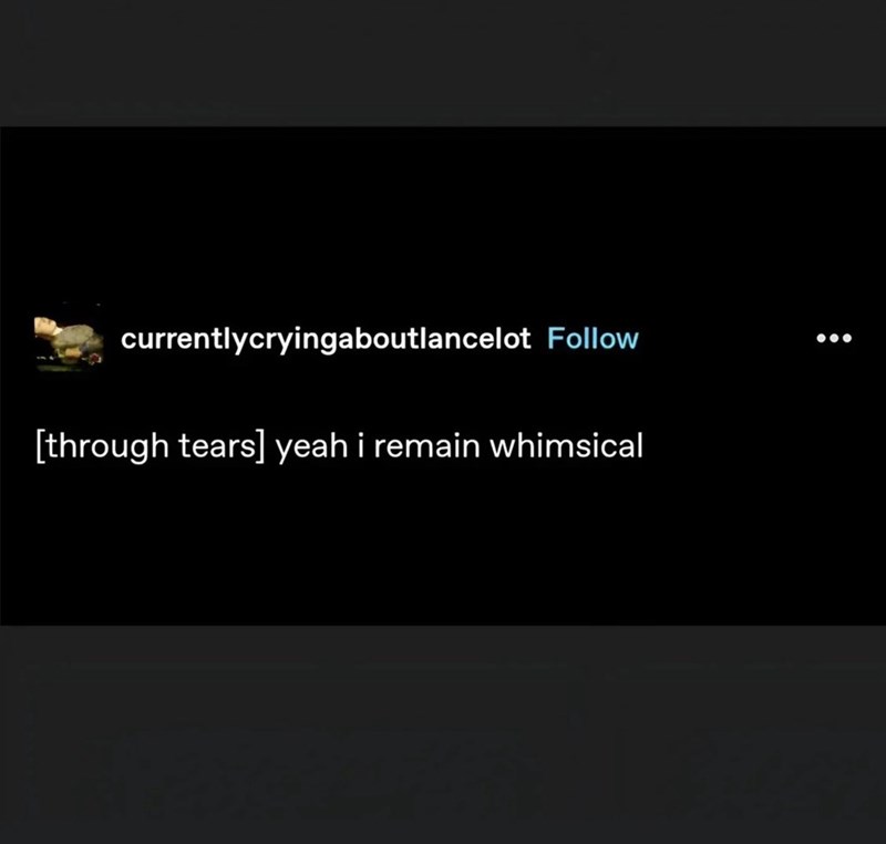 currentlycryingaboutlancelot Follow 000 [through tears] yeah i remain whimsical