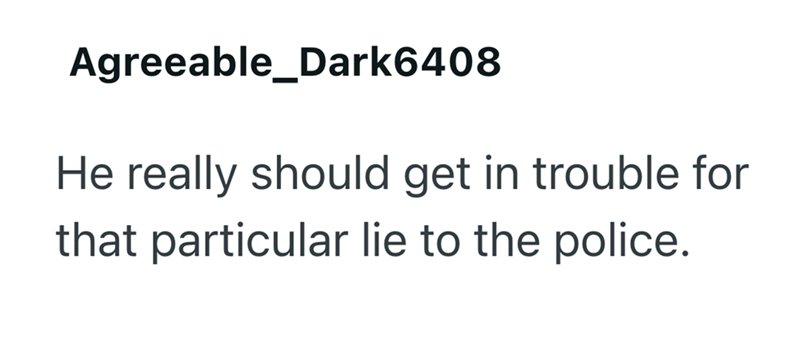 Agreeable_Dark6408 He really should get in trouble for that particular lie to the police.