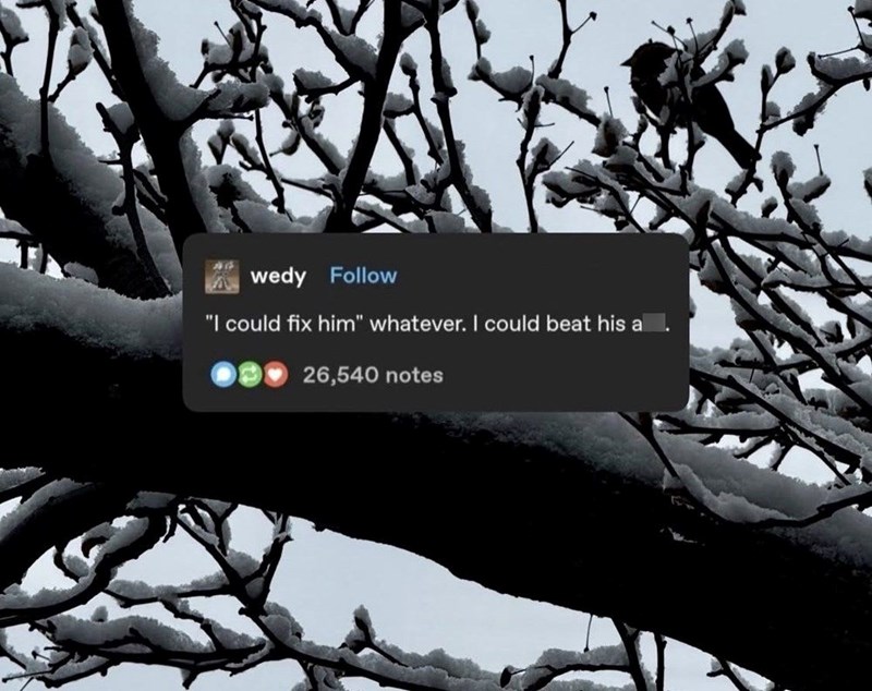 wedy Follow "I could fix him" whatever. I could beat his a 26,540 notes