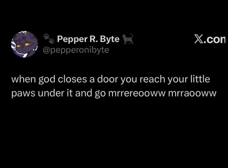 Pepper R. Byte @pepperonibyte X.com when god closes a door you reach your little paws under it and go mrrereooww mrraooww