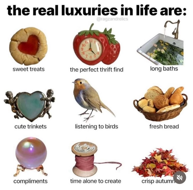 the real luxuries in life are: @ragzandrelics sweet treats the perfect thrift find long baths cute trinkets listening to birds fresh bread compliments time alone to create crisp autumn